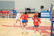 Enlarge photo 106