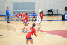 Enlarge photo 108