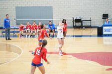 Enlarge photo 111
