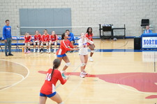 Enlarge photo 114