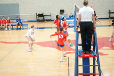 Enlarge photo 116