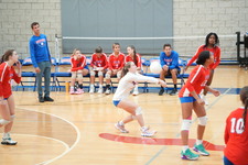 Enlarge photo 119