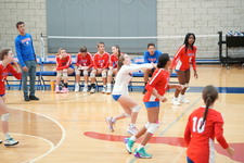 Enlarge photo 121