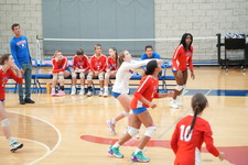 Enlarge photo 122