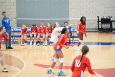 Enlarge photo 124