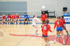 Enlarge photo 132