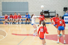 Enlarge photo 133