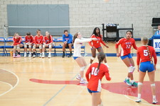 Enlarge photo 134