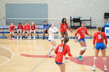 Enlarge photo 135