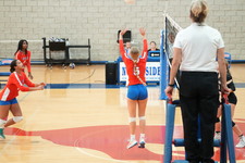 Enlarge photo 137