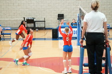 Enlarge photo 140