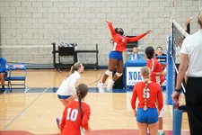 Enlarge photo 144
