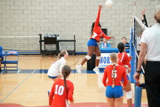 Enlarge photo 145