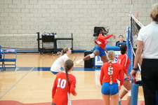 Enlarge photo 147