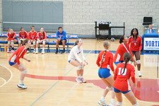 Enlarge photo 149