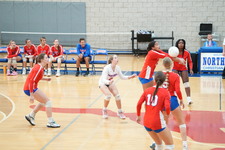 Enlarge photo 152