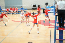 Enlarge photo 153