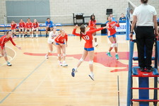 Enlarge photo 154