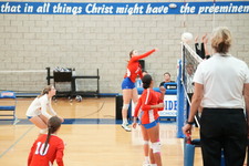 Enlarge photo 171