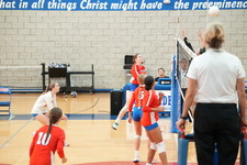 Enlarge photo 172