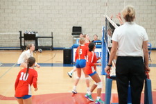Enlarge photo 173
