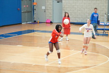 Enlarge photo 193