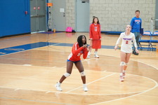 Enlarge photo 196