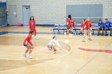 Enlarge photo 221