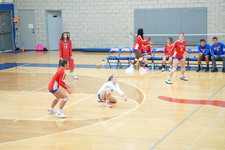 Enlarge photo 222