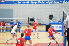 Enlarge photo 224