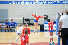 Enlarge photo 228