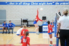 Enlarge photo 229