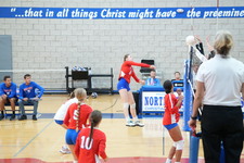 Enlarge photo 230
