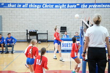 Enlarge photo 231