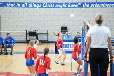 Enlarge photo 232