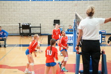 Enlarge photo 233