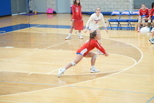 Enlarge photo 239