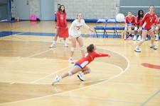 Enlarge photo 240