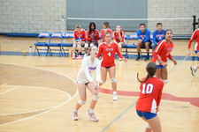 Enlarge photo 247
