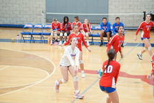 Enlarge photo 248