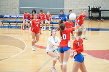 Enlarge photo 252