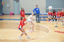 Enlarge photo 264