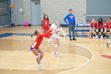 Enlarge photo 266