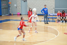 Enlarge photo 269