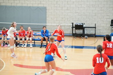 Enlarge photo 281