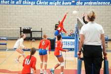 Enlarge photo 288