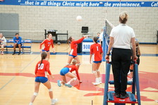 Enlarge photo 297