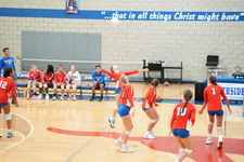 Enlarge photo 301