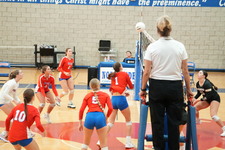 Enlarge photo 310
