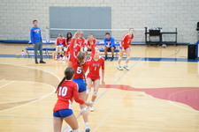 Enlarge photo 311